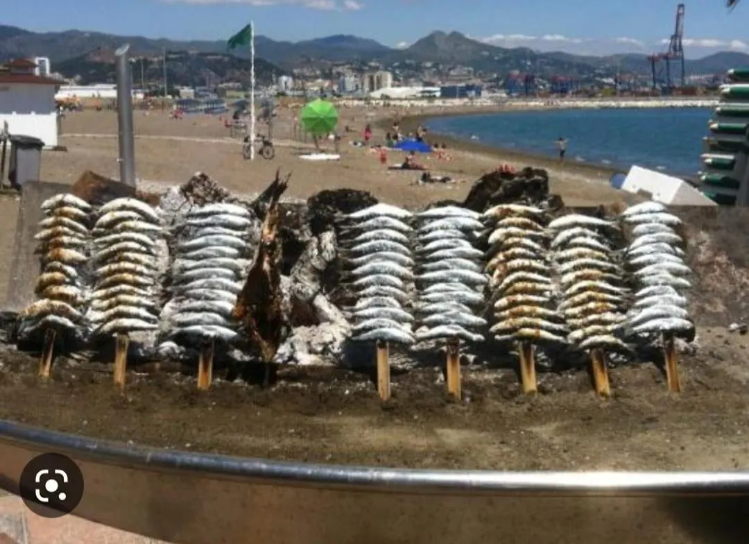 La Colina Playamar Beach Torremolinos 0*,